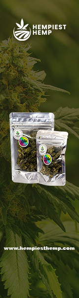 List Of Head Shops In Traverse City Michigan Smoke Shops In